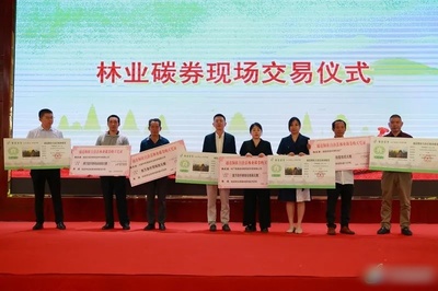 通道林農(nóng)再獲一項(xiàng)權(quán)利！懷化市林地生態(tài)系統(tǒng)碳匯權(quán)證暨林業(yè)碳券在通道首發(fā)