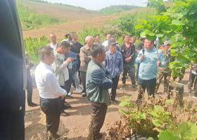 遼陽市林草局舉辦大果榛子實用技術培訓班 助力林業產品銷售與產業升級