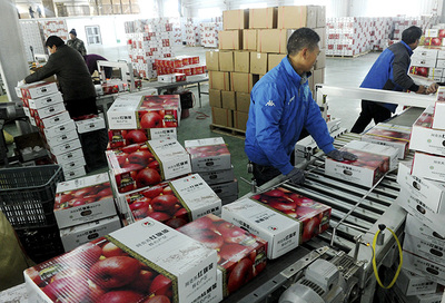 打通產銷“最后一公里” 國家林草局多措并舉破解林產品銷售難題