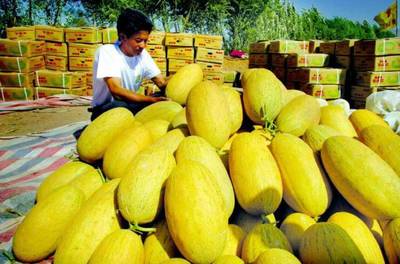 援疆風(fēng)采 步步高援疆行，架起湘吐共富橋