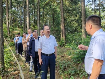 科技賦能，生態(tài)富民 福建省林業(yè)局領(lǐng)導(dǎo)赴福州、寧德調(diào)研林下經(jīng)濟(jì)與電子產(chǎn)品銷售新模式